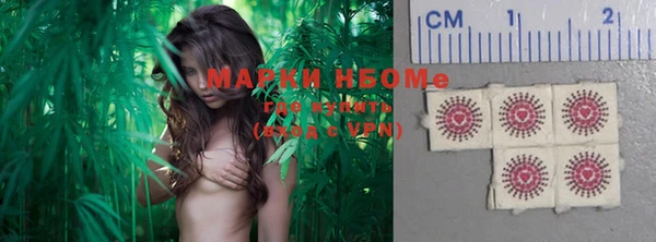 сатива Иннополис
