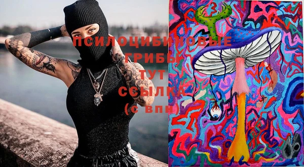 дмт Заволжск