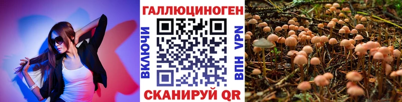 mega зеркало  что такое наркотик  Чекалин  Псилоцибиновые грибы ЛСД 